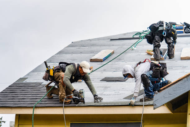 Professional Emergency Roof Repair technician working in South Plymouth, NY